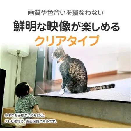 大阪府和泉市　TGCL-50　50インチ用　テレビ画面保護パネル　クリアタイプ　テレビガード【1669368】