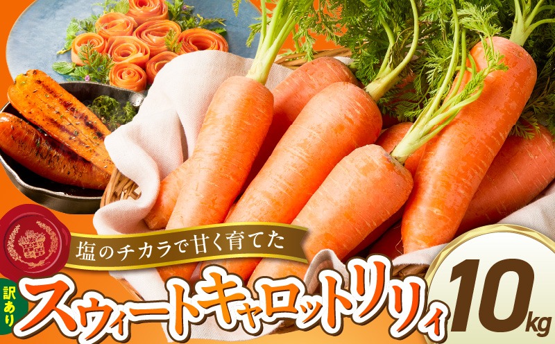 メディア出演多数！！ 【期間限定】（訳あり）鈴盛農園の甘～いにんじん 『スウィートキャロットリリィ』 10kg 人参 甘い ご家庭用 ジュース サラダ スムージー ジューシー 安心 H022-020