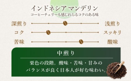 【豆タイプ】 【6回定期便】【一番人気♪】中煎り インドネシア マンデリン 自家焙煎コーヒー 5袋 ＜giko coffee＞ [CFK018]