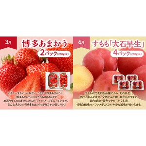 【定期便/年5回】JAむなかた厳選！人気フルーツ定期便【JAむなかた ほたるの里】_HB0164