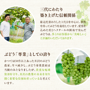 《 先行予約 / 令和7年産 》【 定期便 】 山形県産 大玉シャインマスカット 700g (1房)　2回〔 9月下旬頃 ～ お届け 〕 ぶどう 白ぶどう 2025年産