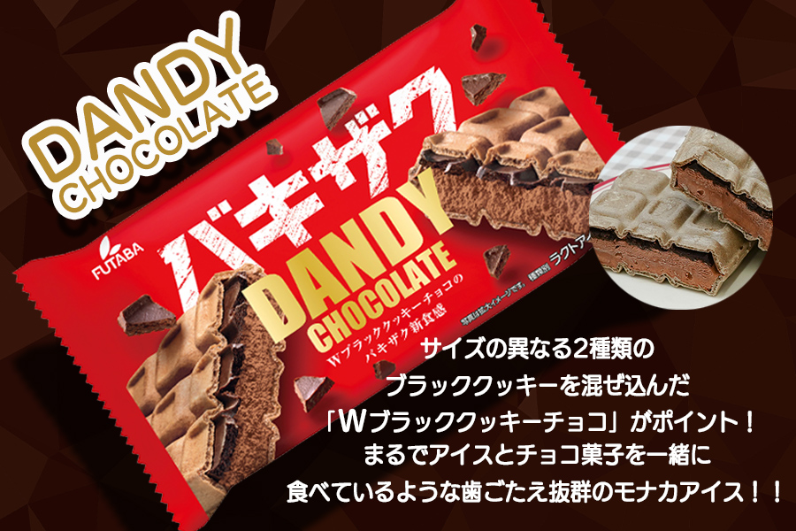 フタバ食品　アイス10個　ダンディーチョコレート＆ミルクセット　2種類各5個
