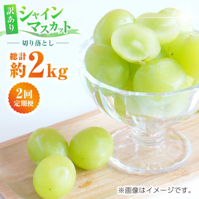 【ふるさと納税】【先行予約】【2回定期便】訳あり シャインマスカット 切り落とし 約1kg 【合同会社 社方園】[ZBZ010] ブドウ 葡萄 おすすめ 国産 熊本県 山鹿 果物 くだもの フルーツ 人気 ランキング ブランド キャンペーン 特産品 産地 九州 季節 評価 口コミ 送料無料