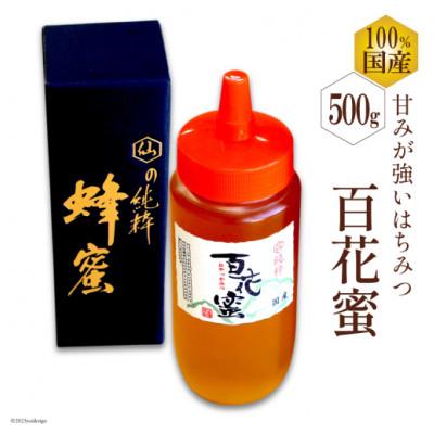 ふるさと納税 島原市 国産はちみつ 500g(百花蜜)BH071(島原市)