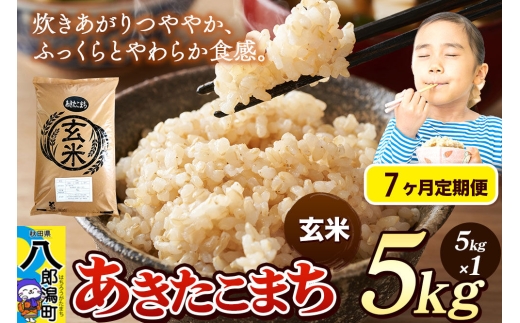 《令和8年産 新米》《定期便7ヶ月》米 あきたこまち 5kg【玄米】秋田県産 [新米 米 コメ 玄米 あきたこまち おいしい 美味しい 安全 自然の恵み]