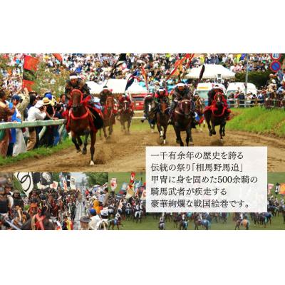 ふるさと納税 南相馬市 からみ漬 徳用サイズ 2.1kg(700g×3袋)  | 漬物 からみ漬 黒潮海苔店 |  | 02