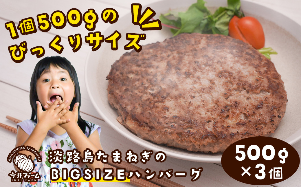 
淡路島たまねぎのBIG SIZEハンバーグ 500g×3個
