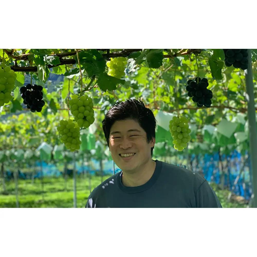 おかべ農園　長野市産 シャインマスカット（贈答用） 2房【2026年9月下旬頃発送予定】  |シャインマスカット