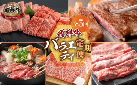 《定期便5回》飛騨牛 バラエティ定期便 [S487]