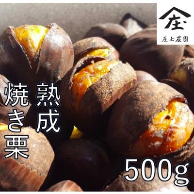 ふるさと納税 つくばみらい市 庄七農園限定　氷蔵熟成焼き和栗 (500g)