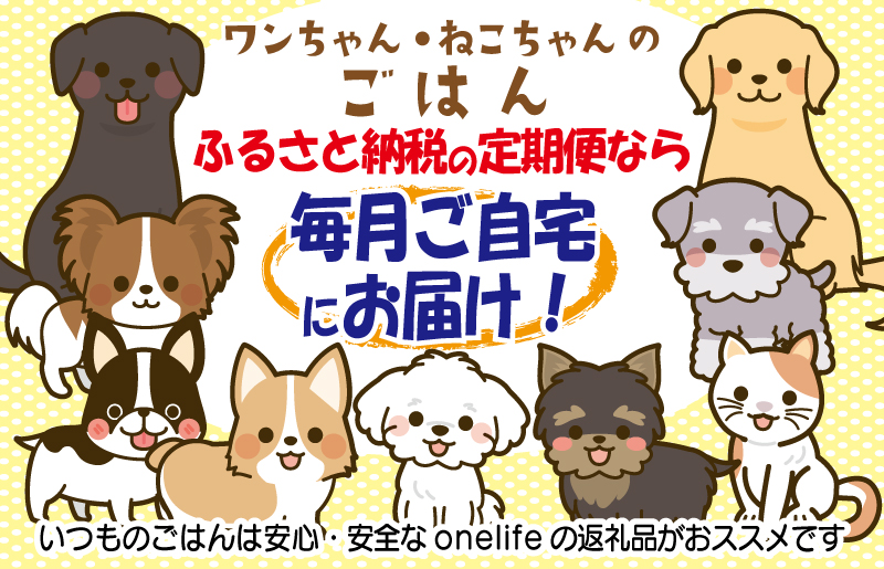 【定期便】国産 無添加 ドッグフード「いのちのごはん」500g×全6回【毎月配送コース】 099Z331