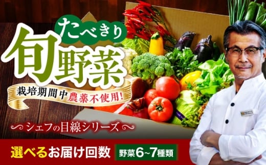 【シェフの目線】【全6回定期便】野菜 6から7種　単身・二人暮らし用セット　愛媛県大洲市/有限会社ヒロファミリーフーズ[AGBX045] 野菜 定期便 野菜セット やさい 野菜定期便 やさいセット 新鮮野菜 大洲市産 産地直送 おすすめ 人気 お取り寄せ 送料無料 贈答 ギフト
