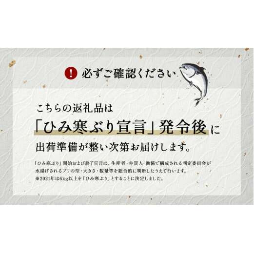 ＜先行予約＞ 【魚問屋直送】天然「生ひみ寒ぶり」刺身用 約800g〈アラ付き〉