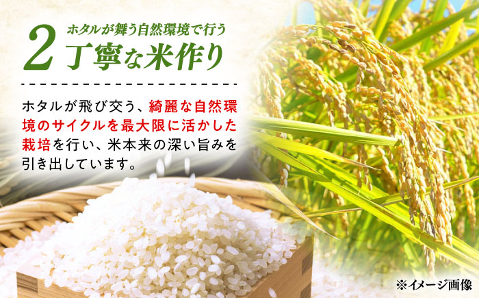 【R8年産】【2026年10月中旬頃より順次発送】特A 対馬産 にこまる 5kg×2「ほたる舞う三根川の米」 《対馬市》【永留しいたけ農園】新米 米 お米 ご飯 ごはん 白米 10kg 10キロ 産地