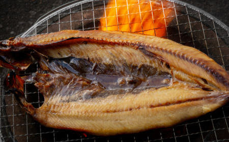 網走加工の一夜干しセット 5種B ABE122