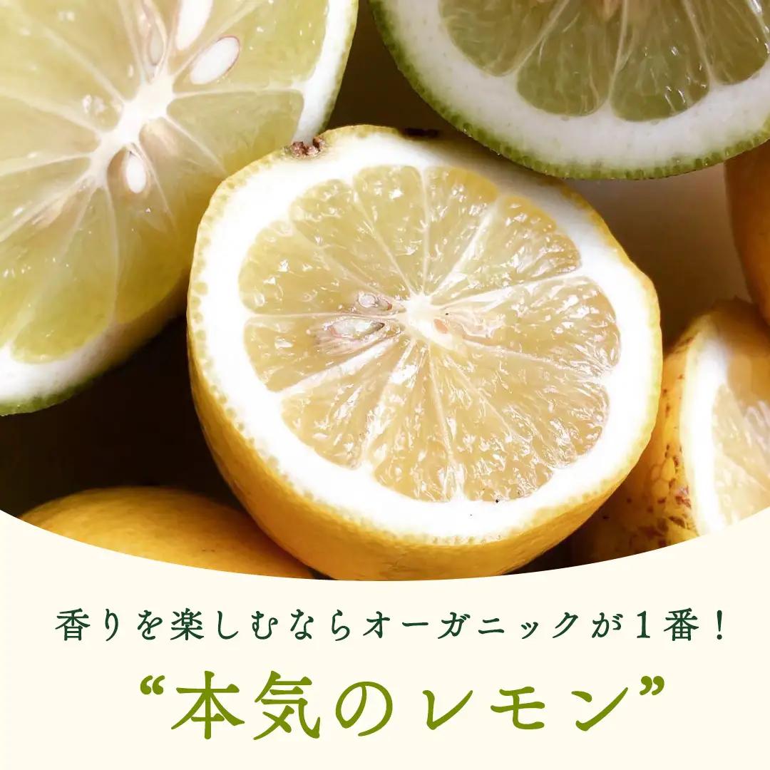 【先行予約】 瀬戸内オーガニックレモン約3kg定期便 月1回×3回 12月以降発送 有機JAS認証 果物 皮まで使える 国産 通販 お取り寄せ