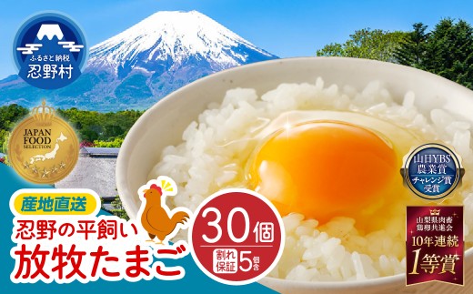 【8月配送分】忍野の平飼い放牧卵30個 ※割れ保証含む　[卵 国産 産地直送 生卵 玉子 たまご 卵かけご飯 卵焼き 親子丼 目玉焼き すき焼き オムライス オムレツ スイーツ作り 料理 調理 人気 鶏卵 鶏 新鮮 山梨県 忍野村]