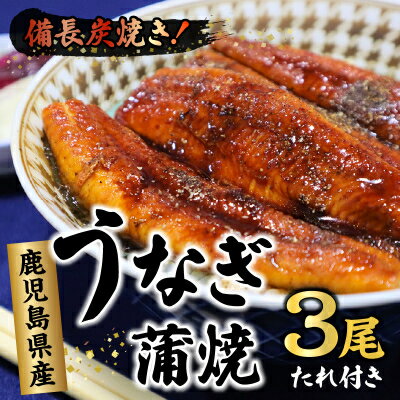 【ふるさと納税】鹿児島県産うなぎ蒲焼3尾 タレ付【配送不可地域：離島】【1185861】