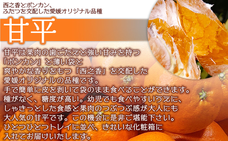 【先行予約】＜甘平 約3kg 贈答用＞ 果物 オレンジ フルーツ かんぺい カンペイ 柑橘類 みかん ミカン 蜜柑 ポンカン 西之香 ギフト 贈り物 プレゼント 特産品 山本果樹園 西宇和 愛媛県 西