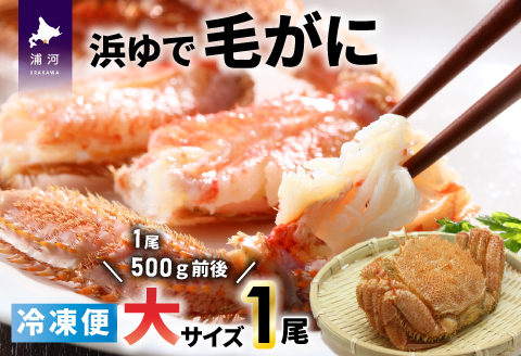 ＜冷凍＞漁協の浜ゆで毛がに 大サイズ１尾 [02-1203]