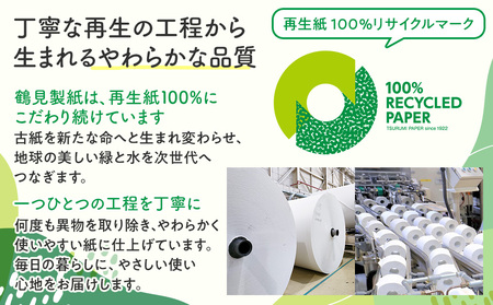 定期便 【 初回発送：2026年8月 】 トイレットペーパー ﾀﾞﾌﾞﾙ 年 2 回 6 ヶ月毎 ブルーベリー トイレット