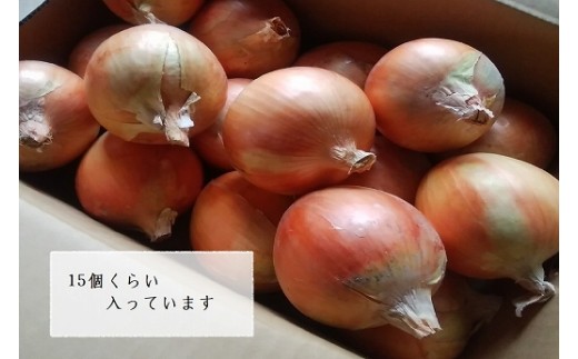 【淡路夢ファーム】　玉ねぎ・お米セット