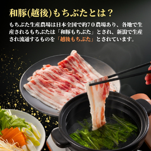 豚肉 すき焼き 豚肩ロース 1kg(500g×2パック) 越後もちぶた | 豚肉 ロース肉 新潟県 弥彦村