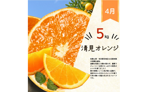 【全3回】紀州和歌山産旬のフルーツ定期便 (みかん・清見オレンジ・桃) / 果物 柑橘 オレンジ 定期便 人気 果物定期便 フルーツ定期便 みかん 桃 モモ もも おすすめ 【tkb381】