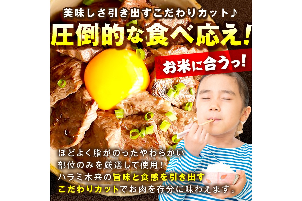 【訳あり】牛ハラミ（サガリ） 秘伝のタレ込み 味付け肉 1.8kg（300g×6パック）　YK00463
