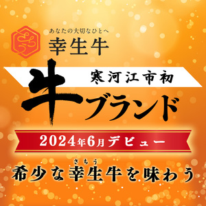 【30営業日以内配送】幸生牛 サーロインステーキ 400g（200g×2枚） ステーキ 肉 牛肉 希少 山形 《幸せを運ぶ牛》 025-D-YL038