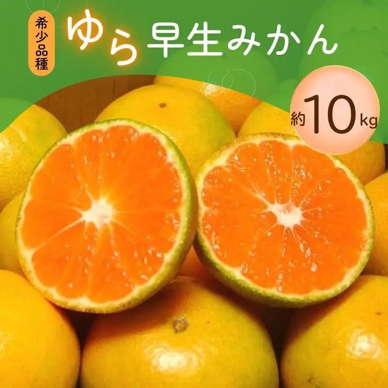 みかん ゆら早生みかん 希少品種 ご家庭用 約10kg サイズ混合【nuk110D】 
