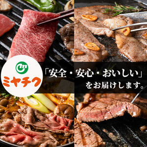 宮崎牛モモ焼肉(1kg・500g×2P) お肉 牛肉 黒毛和牛 ブランド和牛 冷凍 国産 焼肉 BBQ もも 赤身 【R-90】【ミヤチク】