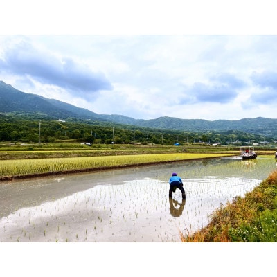 大嶋農場のバラエティライスギフト　6種セット【配送不可地域：離島・沖縄県】【1458517】