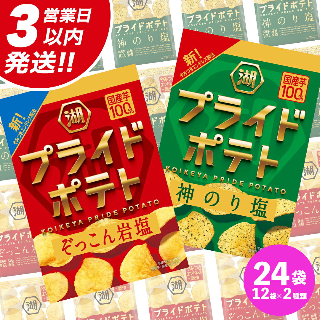 【ふるさと納税】湖池屋 プライドポテト55g 2種類 詰め合わせ セット ポテチ お菓子 おかし スナック ポテトチップス のり塩 塩 ポテト 数量限定 まとめ買い