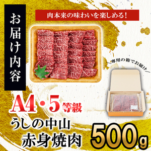 うしの中山 赤身焼肉用500g×1P 黒毛和牛 和牛 肉 牛肉 国産 九州産 鹿児島県産 焼肉 赤身 日本一 b0-201