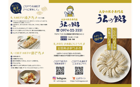 051-1167x1 うちの餃子 焼き餃子 2袋セット 合計24個 餃子のタレ付き 餃子 ぎょうざ ギョウザ  冷凍 おかず おつまみ 国産 豚肉 中華