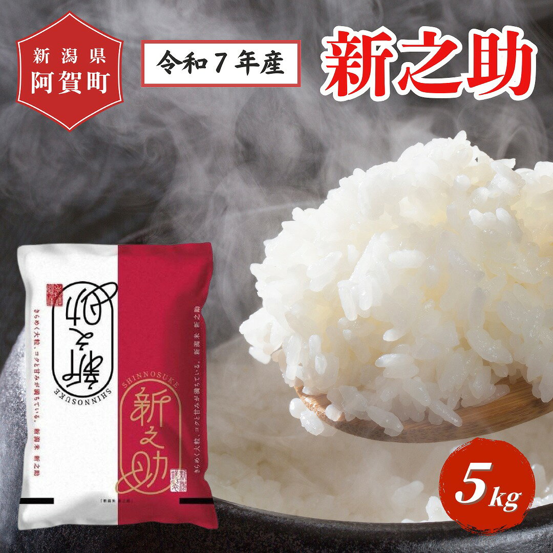 【ふるさと納税】 米 5kg 新潟県産 「津川産 新之助」 令和7年産 5kg × 1袋 | 白米 精米 しんのすけ 送料無料 お取り寄せ お米