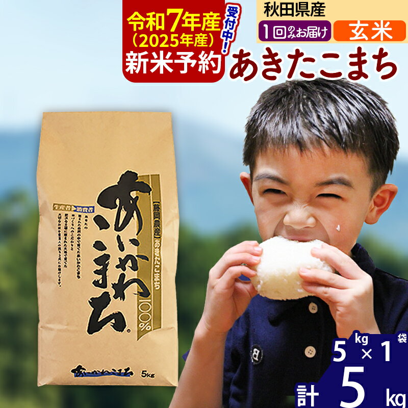 【ふるさと納税】※令和7年産 新米予約※秋田県産 あきたこまち 5kg【玄米】(5kg小分け袋) 【1回のみお届け】2025産 お米 藤岡農産