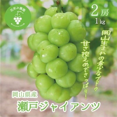 岡山　花笑み農園のブドウ『瀬戸ジャイアンツ』1kg(2房)　G-1【配送不可地域：離島・北海道・沖縄県】【1628319】