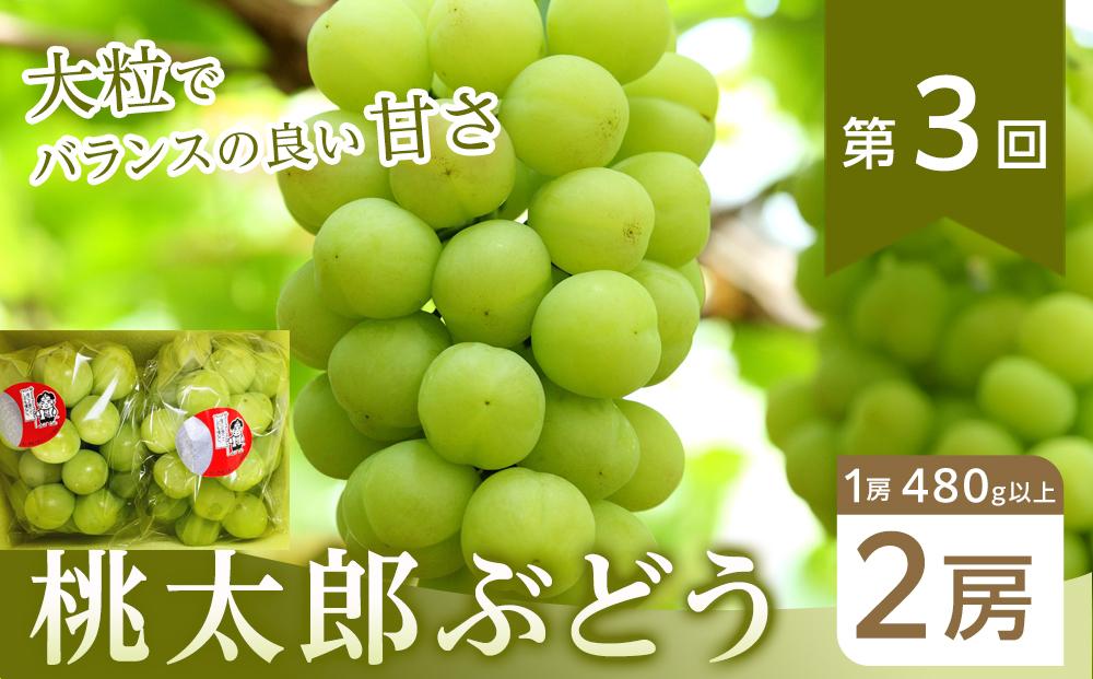 【全6回コース】晴れの国岡山 フルーツ定期便