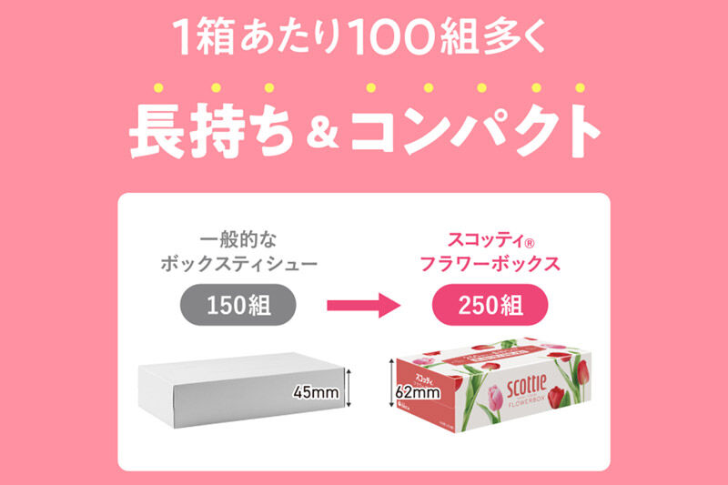 《6ヶ月ごとに2回お届け》定期便 ティッシュペーパー スコッティ ティシュー フラワーボックス 250組 5箱パック×1パック 秋田市オリジナル [ティッシュ ボックスティッシュ]