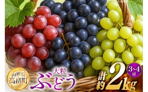 【期間限定発送】 ぶどう 2～3色 約 2kg 詰め合わせ セット [JA山形おきたま 山形県 高畠町 tk06ays870046] シャインマスカット 葡萄 セット ブドウ 巨峰 ピオーネ クイーンニーニャ ゴルビー 高尾 蔵王おとめ 大粒 農家直送 朝採れ
