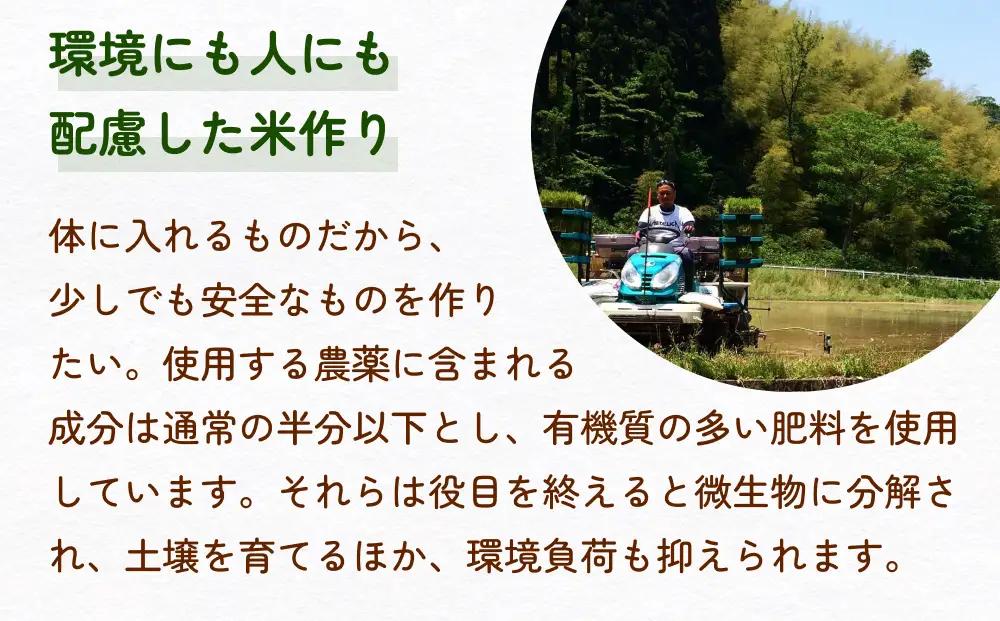米 令和7年産 富山県氷見産 てんたかく 白米 10kg
