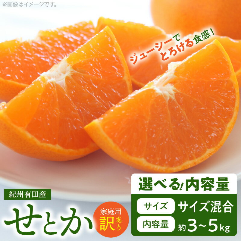 【ふるさと納税】【限定】【2026年先行予約】 訳あり せとか 選べる 内容量 3kg 5kg サイズ混合 とろける食感 濃厚 ジューシー みずみずしい 清見オレンジ アンコール マーコット 交配種 みかん 春みかん フルーツ 柑橘 果物 果実 デザート 家庭用 和歌山県 湯浅町 送料無料