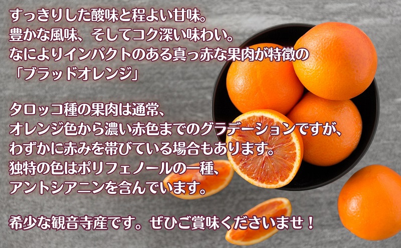 【2026年3月中旬より順次発送】深紅の柑橘「ブラッドオレンジ」　約3kg 