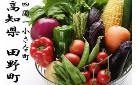 特産品 野菜 詰め合わせセット