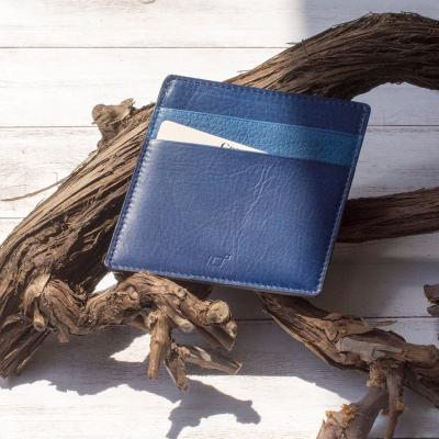 ふるさと納税 徳島市 本革 藍染め 10°(じゅうど)パスケースカードホルダー【CT027】