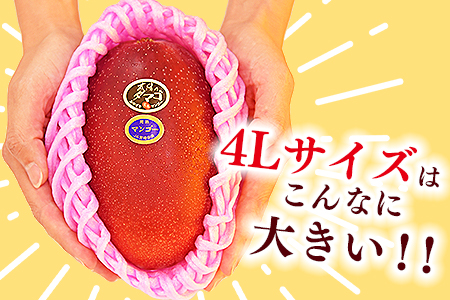 数量限定★2026年発送＜宮崎県産 完熟マンゴー 太陽のタマゴ A等級 4Lサイズ×2玉（合計約1kg）＞2026年4月上旬～6月末迄に順次出荷【 果物 青果 マンゴー フルーツ マンゴー 太陽のタマ