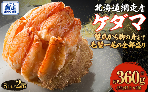 ケダマ × Sサイズ2尾入（2025年4月30日より順次発送） ABJ022