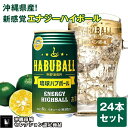 【ふるさと納税】琉球ハブボール 350ml 24缶セット | 沖縄 沖縄県 南城市 ご当地 お取り寄せ お土産 沖縄お土産 沖縄土産 ふるさと 納税 支援 ハイボール ハブ お酒 酒 アルコール飲料 その他 ハーブ 取り寄せ ご当地土産 ご当地おみやげ 特産品 おすすめ 24本 24缶 名産